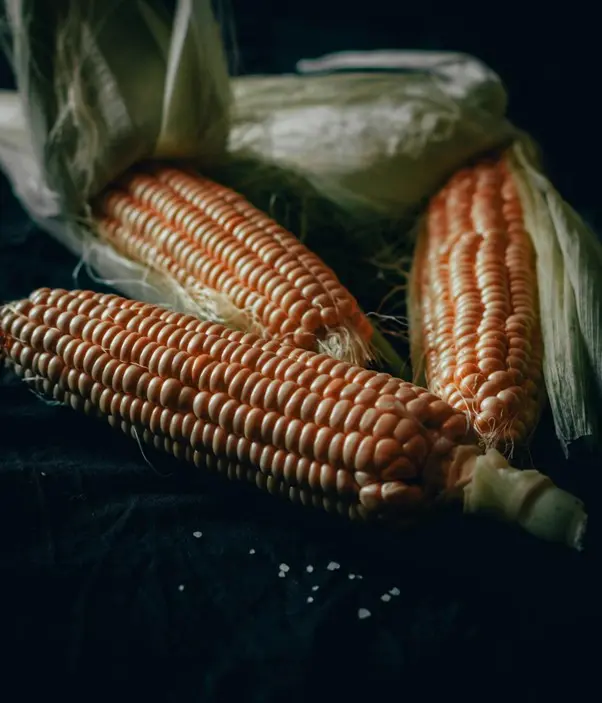 Foodstuffs